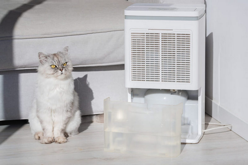 water tank near a dehumidifier