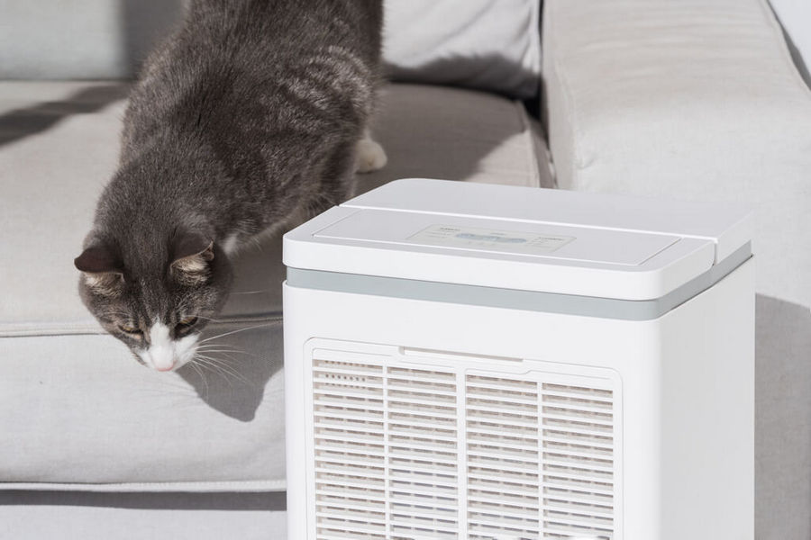 cat sitting next to air purifier