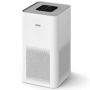 TOPPIN Air Purifier for Pets