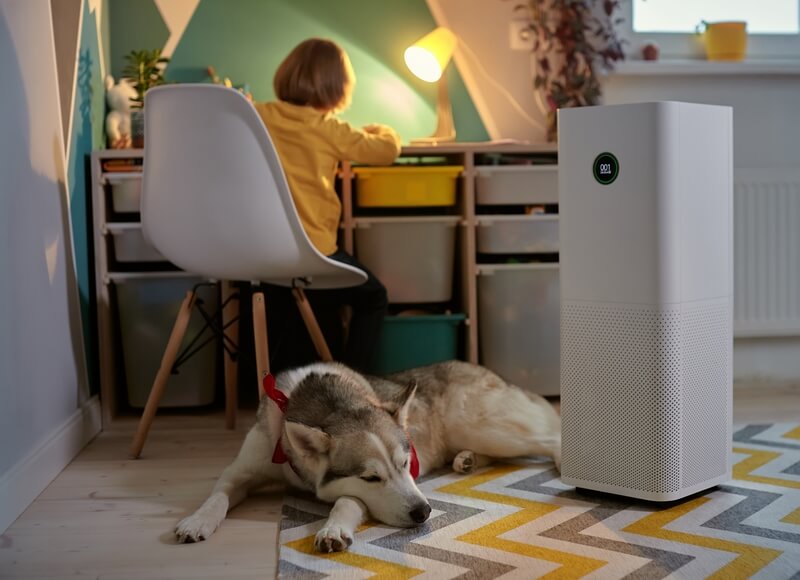 pet hair and air purifier