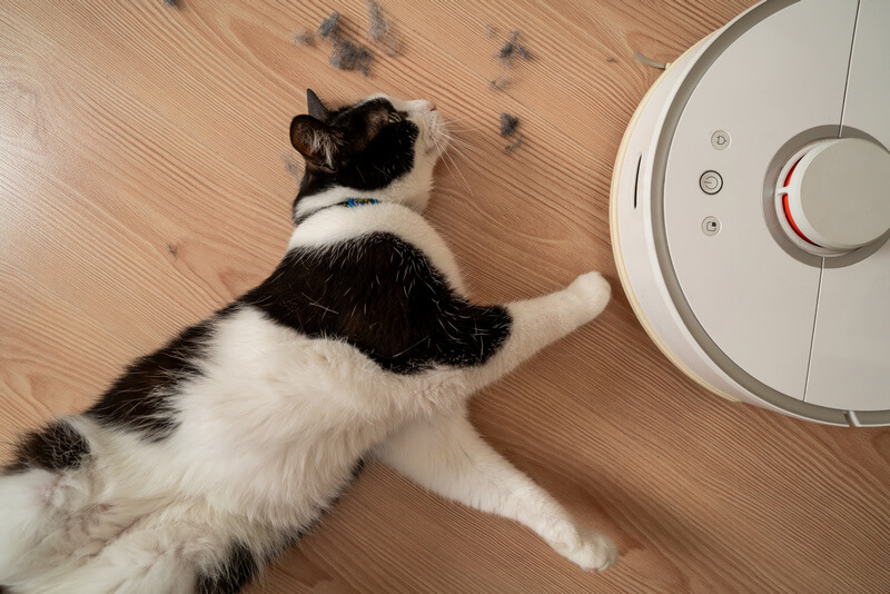 robot vacuum removes dust and cat hair